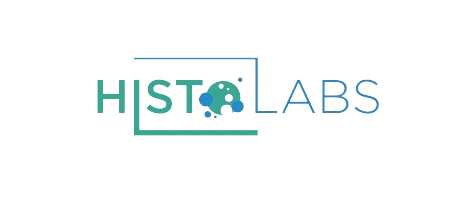Your Company